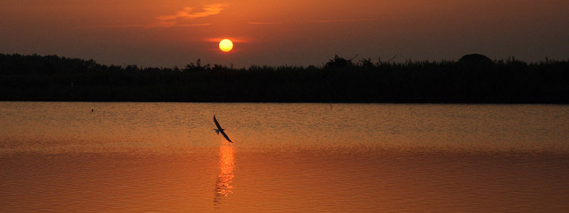 Lido di Volano: dove il turismo naturalistico domina quello balneare